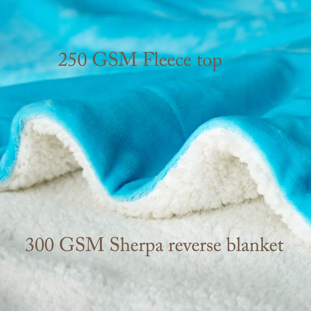 Lbro2M Sherpa Fleece Bed Blanket Queen Size Super Soft Fuzzy Plush Warm Cozy Fluffy Microfiber Couch Throw Velvet Double Reversible Luxurious Blankets,(90X90 Teal)