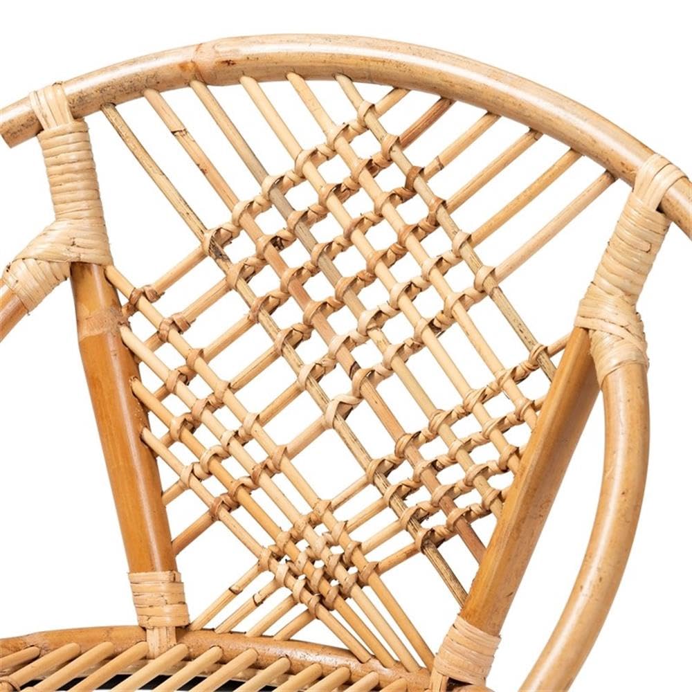 Baxton Studio Pro Modern Bohemian Natural Brown Rattan and Black Metal 2-Piece Dining Chair Set