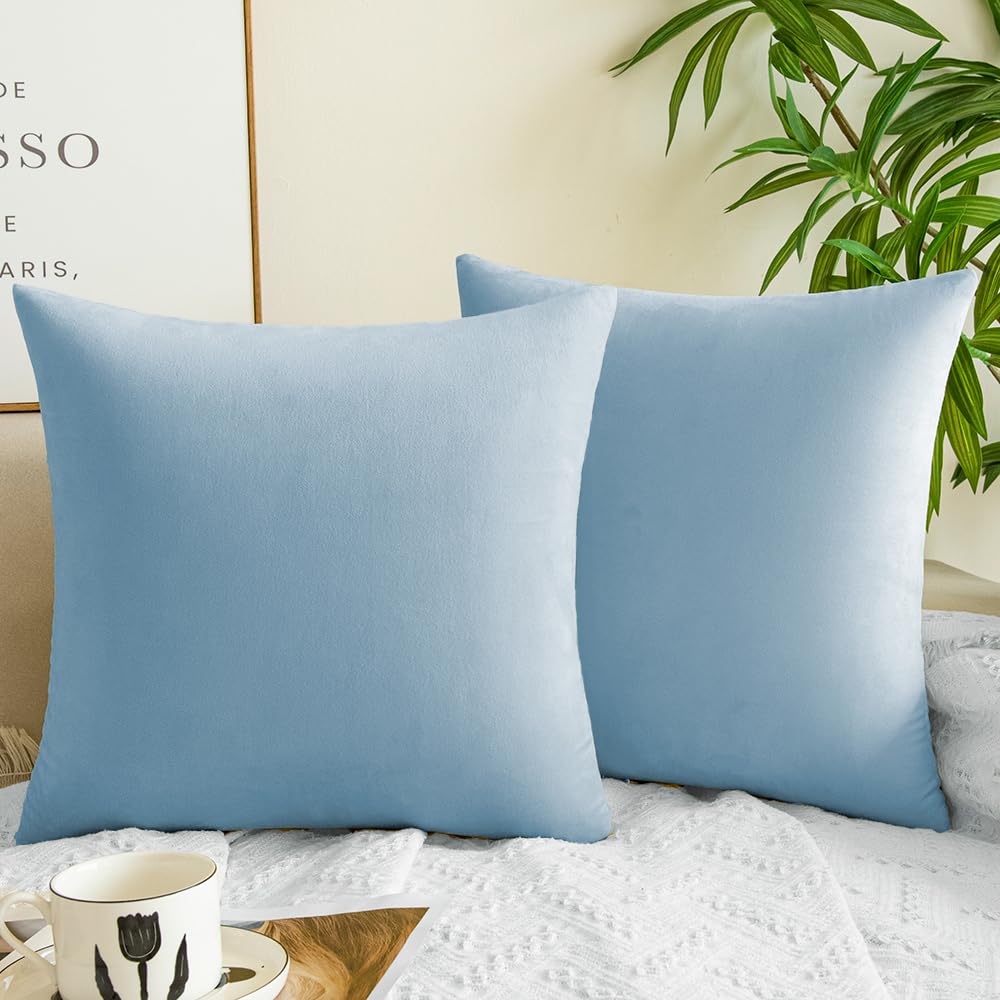 Quorgves Light Blue Throw Pillows Spring Light Blue Pillow Covers 16X16 Inch Pack Of 2 Soft Velvet Square Solid Sky Blue Throw P