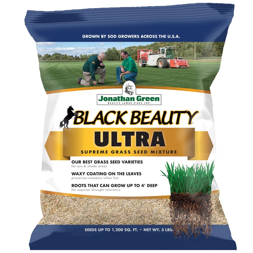 Jonathan Green (10321) Black Beauty Ultra Grass Seed - Cool Season Lawn Seed (3 Lb)