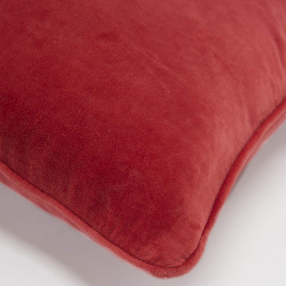 Connie Post 20" x 20" Down Filled Pillow with Cotton Velvet Cover-Dark Coral