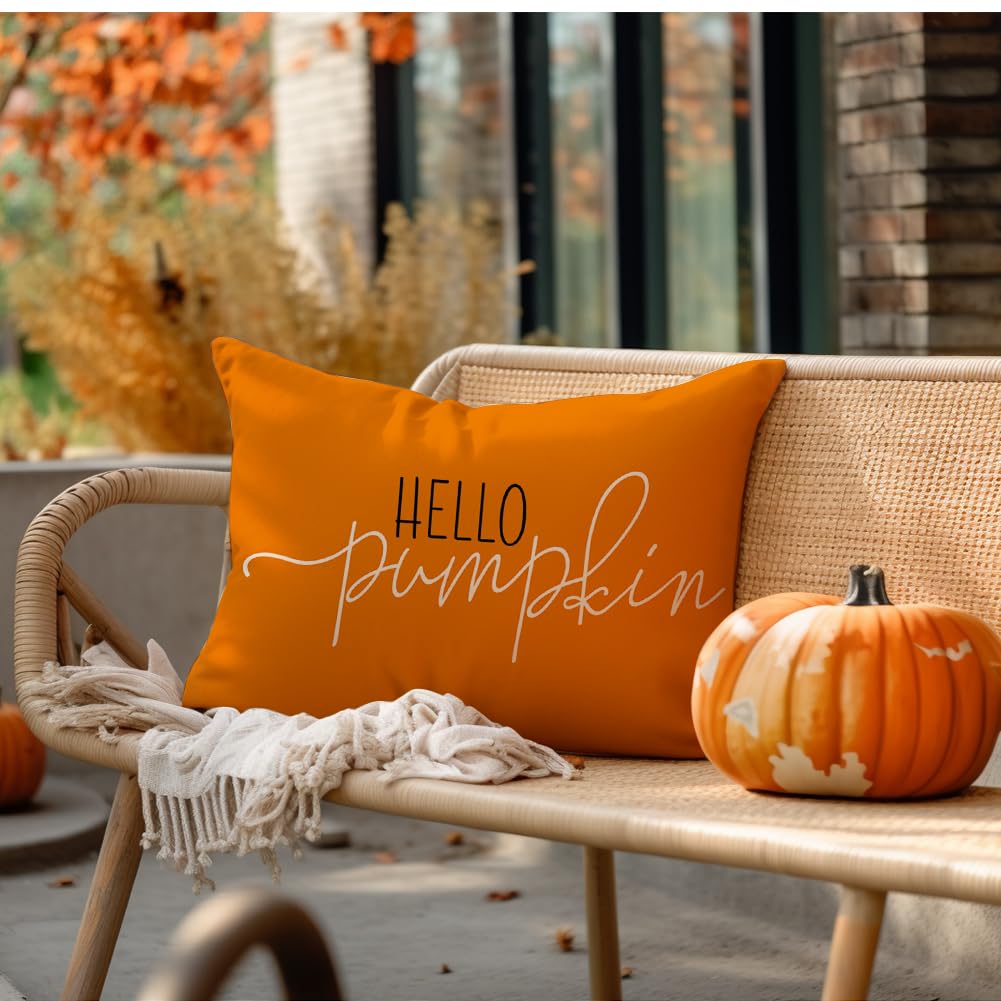 Rabusofa Fall Pillow Covers 12X20 Hello Pumpkin Pillows Decorative Throw Pillows,Lumbar Outdoor Autumn Thanksgiving Cushion Cove
