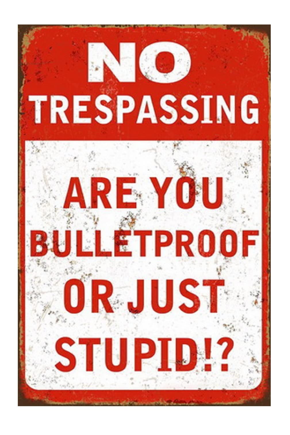 Funny No Trespassing Sign, Metal Warning Tin Signs, Are You Bulletproof Or Just Stupid, Yard Sign Garage Farm Garden Wall Decor