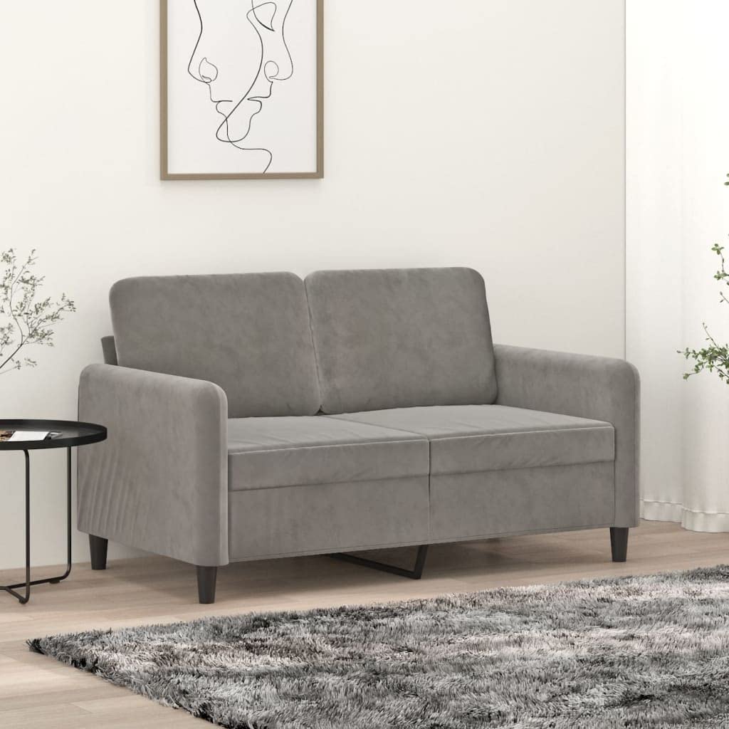 vidaXL Light Gray Sofa - 2-Seater - Comfortable Velvet Fabric Upholstery - Robust Plywood and Metal Frame - Modern and Chic - Ideal for Homes and Apartments