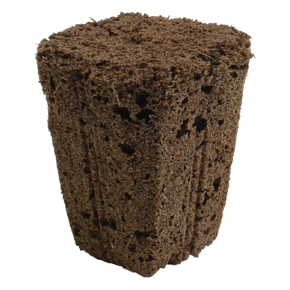 Daplug Sponge Cubes Bulk 2100