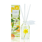 LOVSPA Coastal Citrus Scented Reed Diffuser Set - Fresh Scent Diffuser for Home - Non-Toxic Oil Reed Diffuser - Made in The USA
