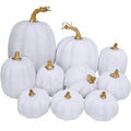 Winlyn 10 Pcs Assorted White Artificial Pumpkins Harvest White Pumpkins Decorative Pumpkins Foam Rustic Fall Pumpkins for Autumn