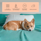 Peachskinsheets The Real Teal Sheet Set - 1500Tc Level Of Softness - Extra Soft Cooling Sheets For Hot Sleepers And Night Sweats