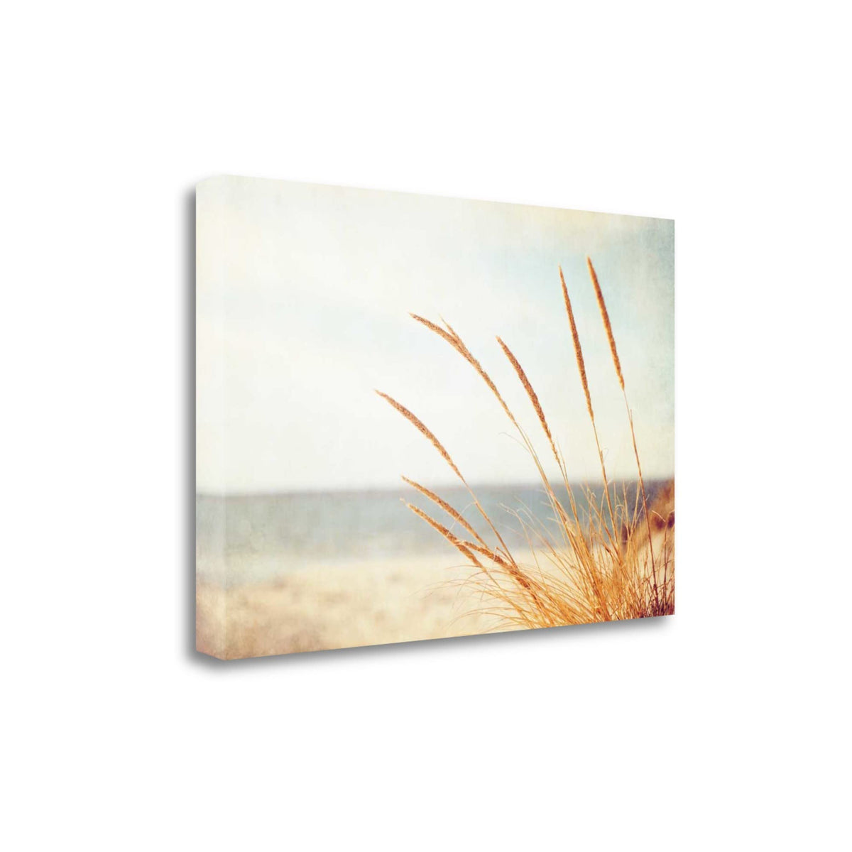 25' Golden Swaying Beach Grass Giclee Wrap Canvas Wall Art