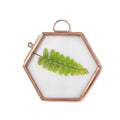 NCYP Hanging Small Rose Gold Hexagon Herbarium, Side Length 1.9 inches Handmade Copper Floating Frame for Pressed Dried Flowers 