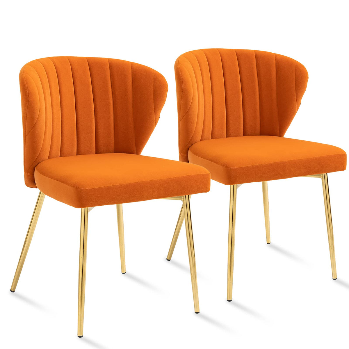 Anour Modern Dining Chairs, Velvet Accent Chair, Living Room Chairs, Set Of 2, Upholstered Side Chair With Golden Metal Legs For