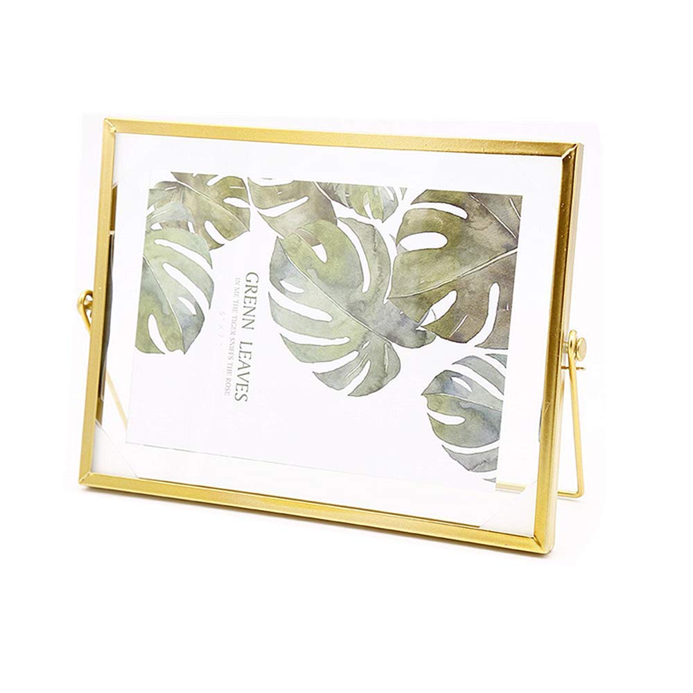 Leoyoubei Floating Glass Frame,Vintage Style and Glass Photo Frame Collection Metal Geometric Picture Frame,Double Glass,Metal D