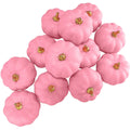Winlyn 12 Pcs Small Artificial Pumpkins Pink Faux Pumpkins Decorative Pumpkins Pink Foam Pumpkins for Fall Wedding Halloween Tha