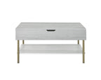 Steve Silver Furniture Whitman Lift Top Cocktail Coffee Table, Living Room, Mid-Century Modern, Bottom Storage Shelf, 36" L x 26" W x 18" H, Weathered White