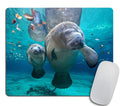 Gaming Mouse Pad Custom, Florida Manatee Mother And Baby Rectangle Non-Slip Rubber Mousepad 9.5 X 7.9 Inch (240Mmx200Mmx3Mm)