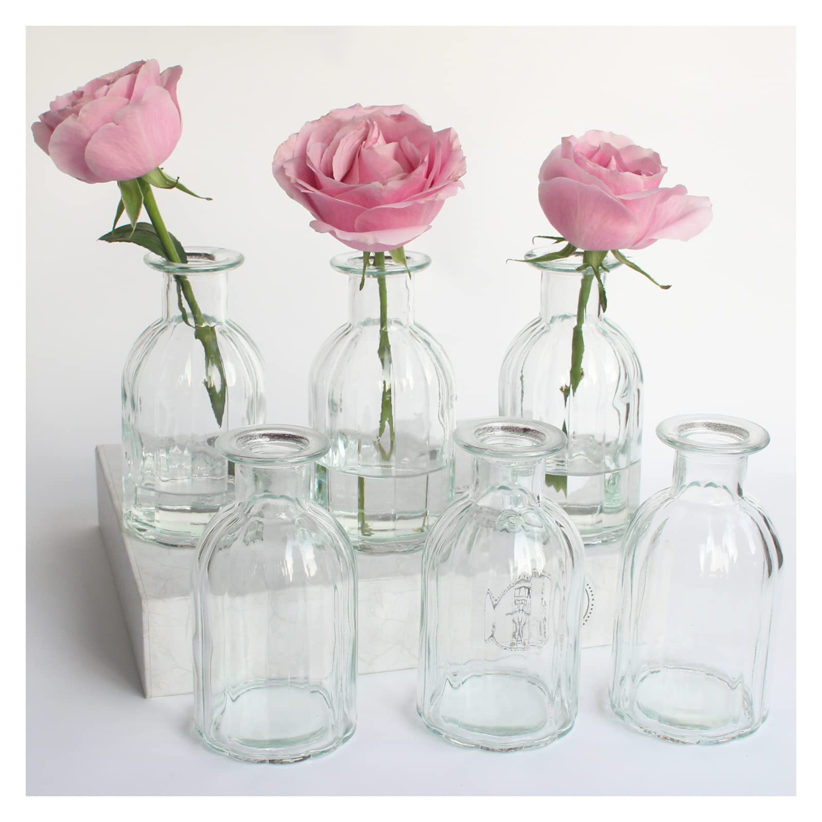 HANIHUA Bud Vases Set of 6 Small Glass Vase for Flowers, Clear Vase Set for Wedding Decor, Home Decorative Vases for Table Shelf