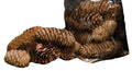 CWI Gifts 6Oz Pinecone Filler Bag 2Pc, Brown