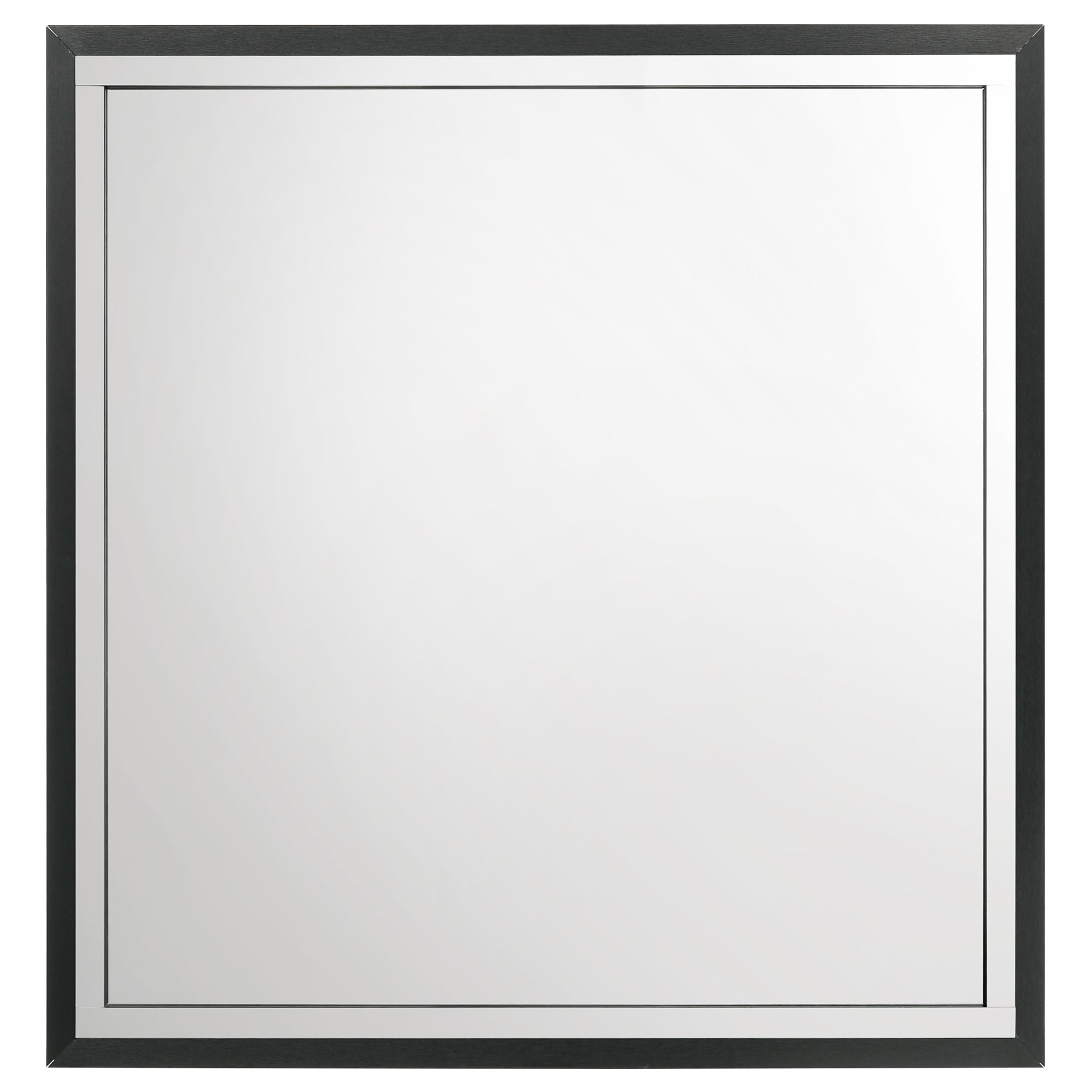 Coaster Home Furnishings Lucia Dresser Mirror Black