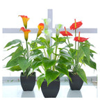 Artificial Flower Calla Lily Faux Small Potted Plant With Black Pot Fake Bonsai Flower For Home, Office, Indoor And Outdoor Occa