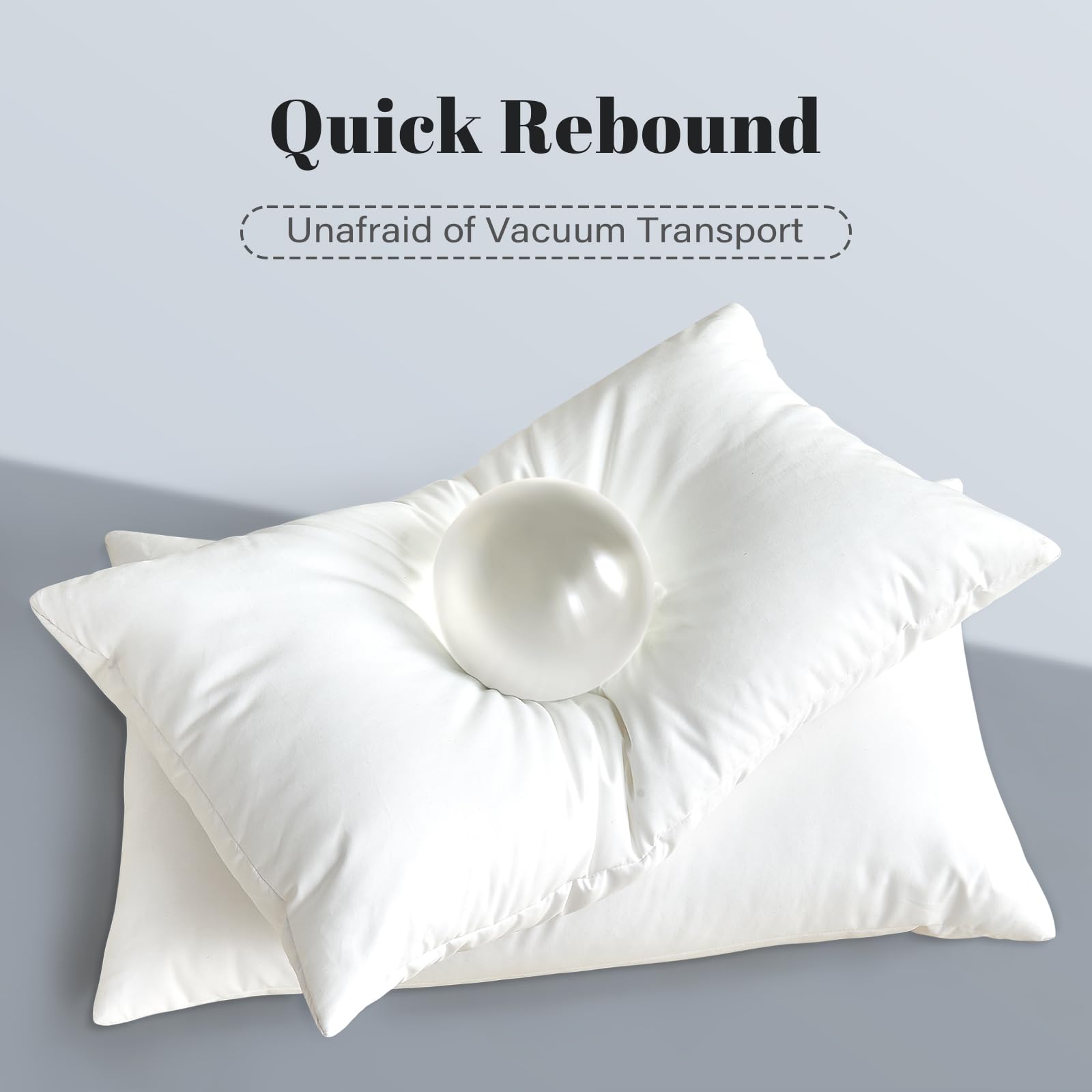 Downstoria 12X20 Pillow Inserts Set Of 2, White Throw Pillow Insert 2 Pack, Foam Filled Decorative Pillows Stuffer For Couch, Be