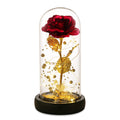 Valentines Gifts for Her,Beauty and The Beast Rose,Rose Gifts for Mom Wife Grandma,Red Roses Gifts for her,Gifts for Women,Etern