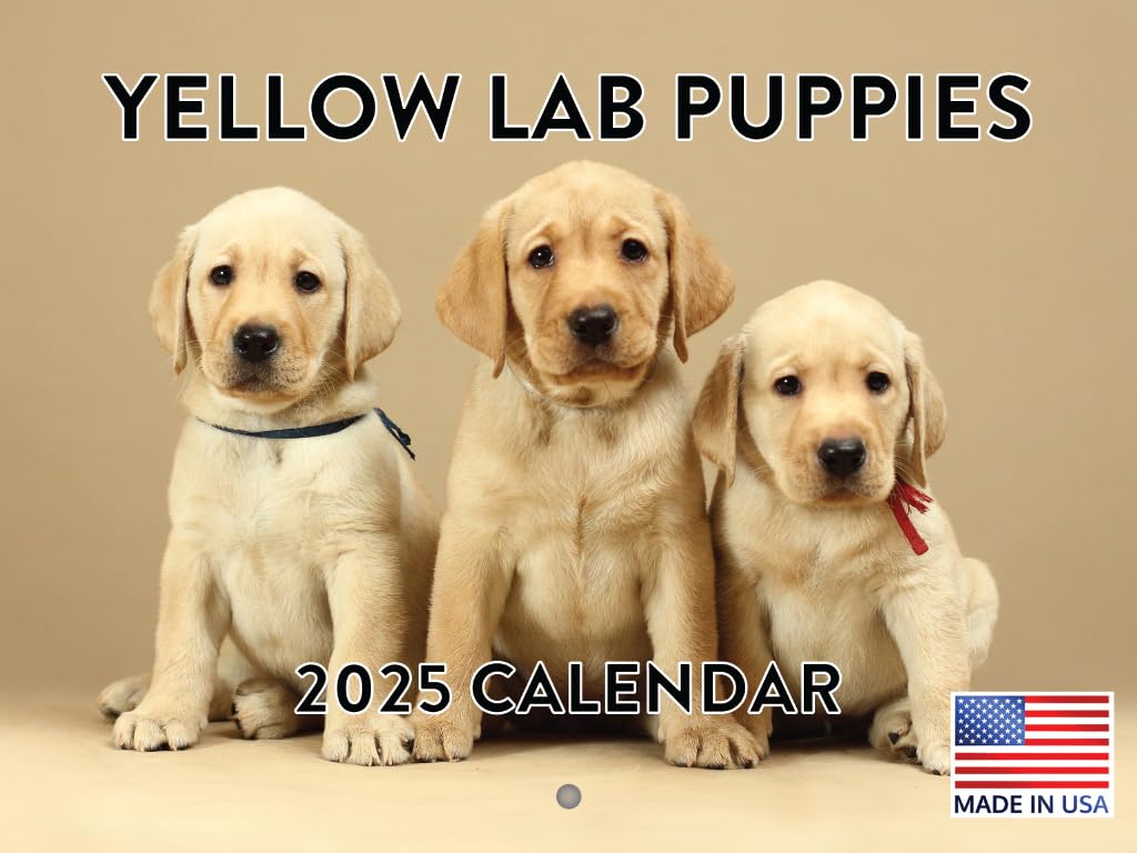Yellow Lab Puppy Calendar 2025 Monthly Wall Calender 12 Month | American Made In The Usa