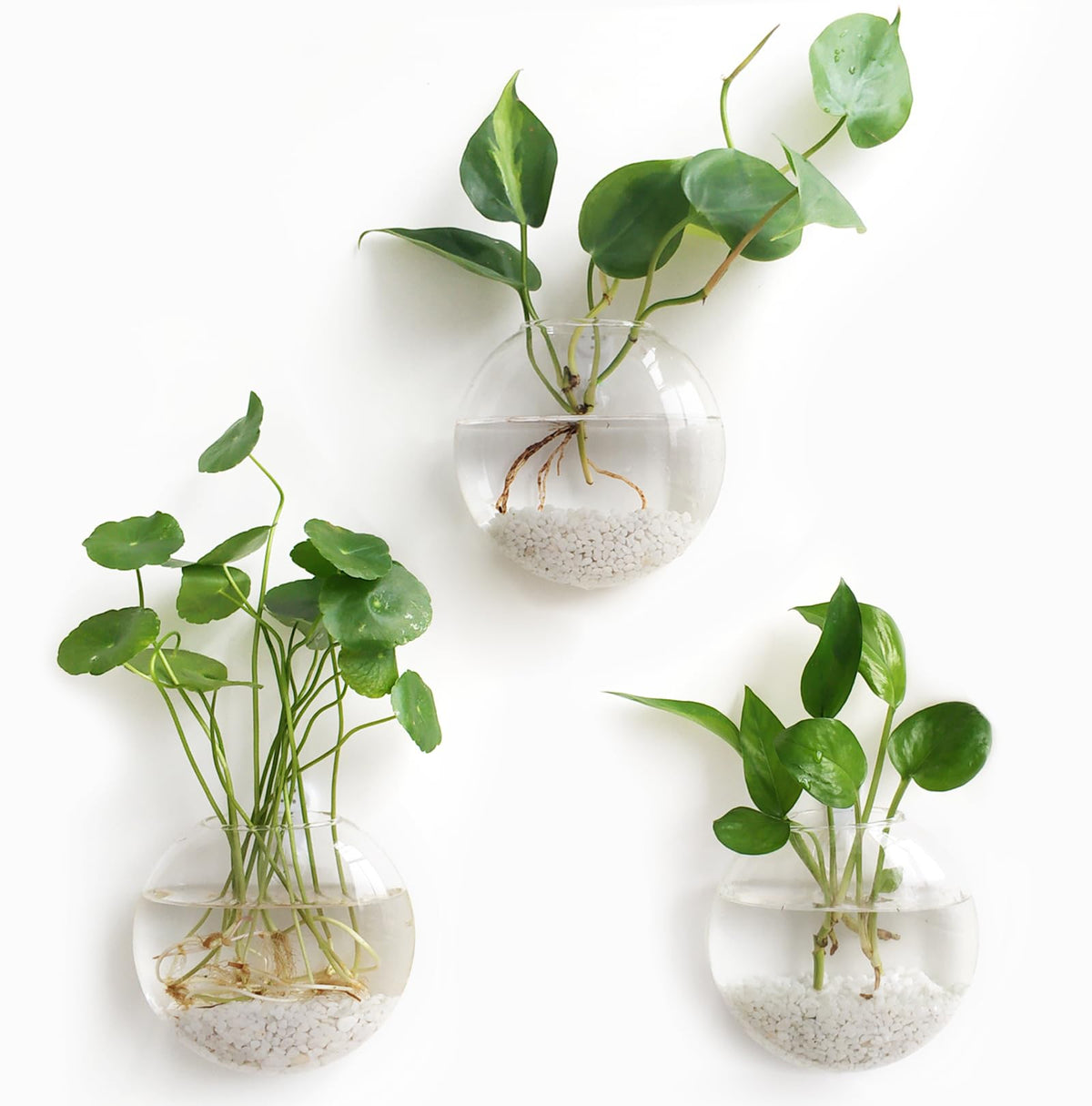 Mkono Wall Hanging Planter Propagation Station Glass Flower Vase For Hydroponics Plants, Bathroom, Home Office Living Room Decor