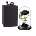 Preserved Rose Black Roses Handmade Preserved Flower Real Rose In Glass Dome, Preserved Roses Never Withered Romantic Gifts For