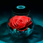 Roliys Preserved Real Roses With Colorful Mood Light Wishing Bottle, Eternal Rose,Never Withered Flowers, Table Decor,Christmas