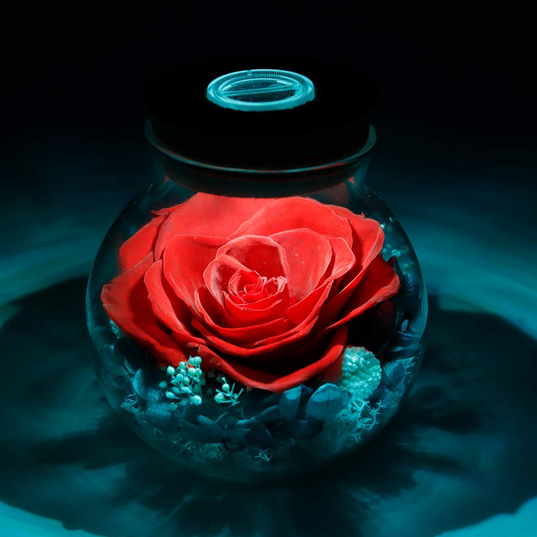 Roliys Preserved Real Roses With Colorful Mood Light Wishing Bottle, Eternal Rose,Never Withered Flowers, Table Decor,Christmas