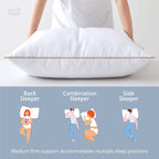 Puredown Goose Feathers And Polyester Fiber Pillows, Premium Medium To Firm Bed Pillows For Sleeping, Luxury Pillows With Downpr