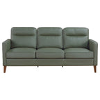 Coaster Jonah Upholstered Track Arm Sofa Green