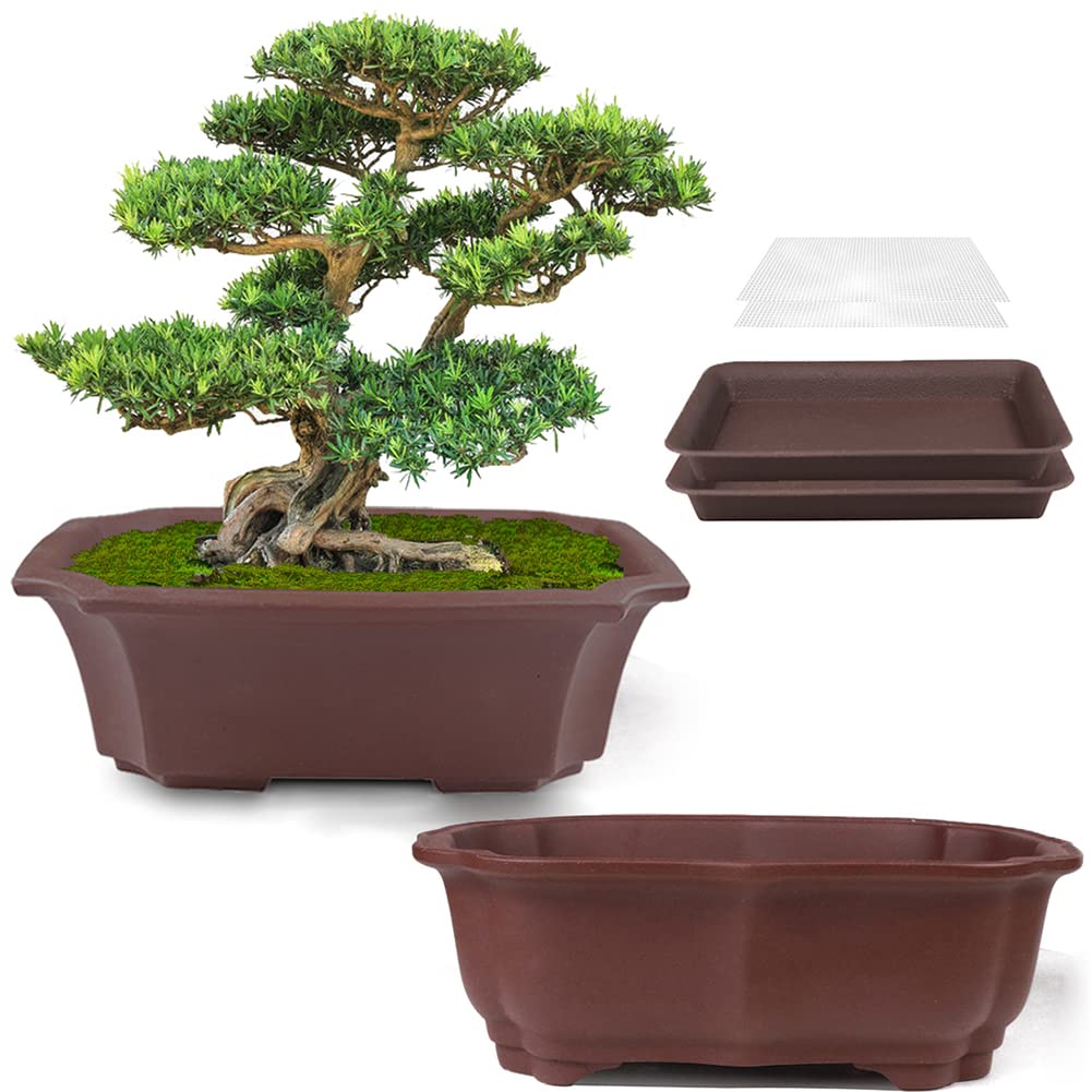 Muzhi 2 Pack 8' Unglazed Ceramic Bonsai Tree Pot Training Planter With Drainage Wiring Hole, Breathable Handmade Zisha Pottery