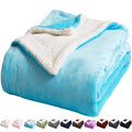 Lbro2M Sherpa Fleece Bed Blanket Fuzzy Plush Warm Super Soft Cozy Fluffy Microfiber Couch (Teal, Twin(65X90 Inches))