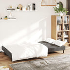 vidaXL Dark Gray Velvet 2-Seater Sofa Bed - Convertible Loveseat Couch for Living Room, Dormitory, Office, Twin Size Bed, Wooden Frame