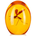 Qunclay Mosquito In Amber Resin Prop Replica Mosquito Collectible Paper Weight 2D Mosquito Amber Collection Flat Bottom Resin Pa