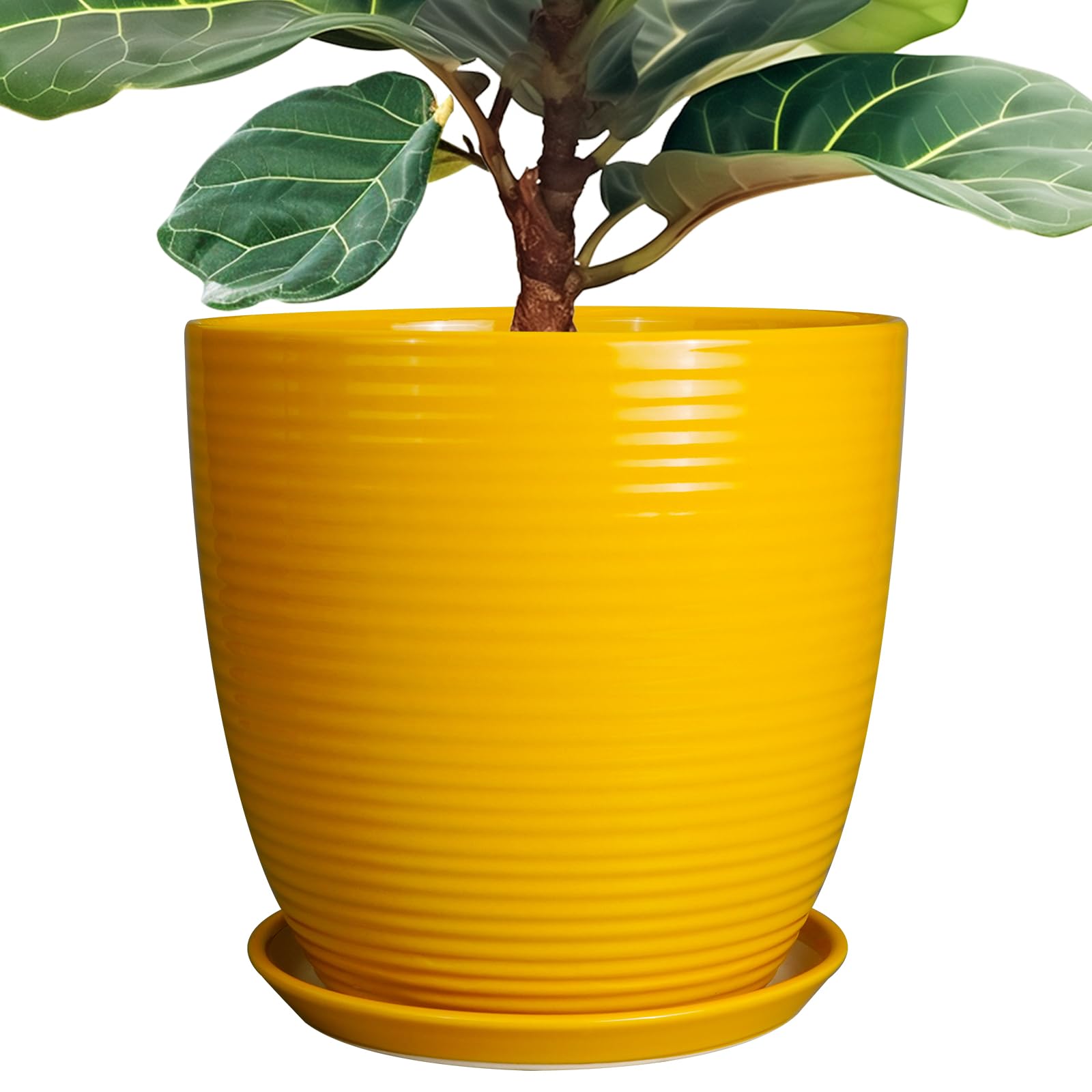 Epfamily 12 Inch Pots For Plants - Ceramic Planter For Indoor Plants Large Plant Pot With Drainage Hole And Saucer Round Outdoor