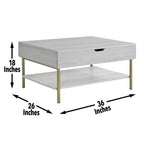 Steve Silver Furniture Whitman Lift Top Cocktail Coffee Table, Living Room, Mid-Century Modern, Bottom Storage Shelf, 36" L x 26" W x 18" H, Weathered White