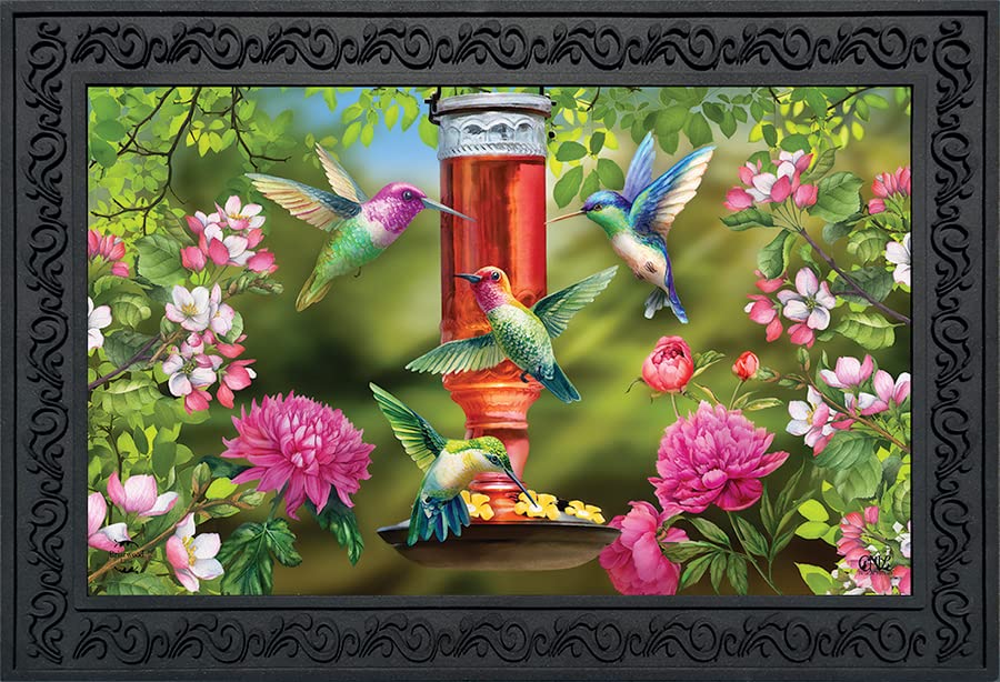 Briarwood Lane Hummingbird Feeder Spring Doormat Floral Indoor Outdoor 30' X 18'