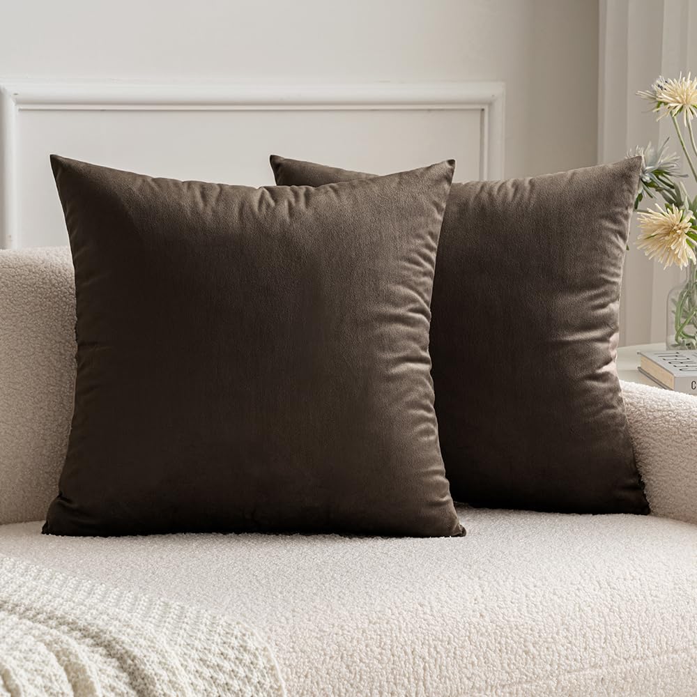 Miulee Pack Of 2 Decorative Velvet Pillow Covers Soft Square Throw Pillow Covers Solid Cushion Covers Pillow Cases For Sofa Bedr