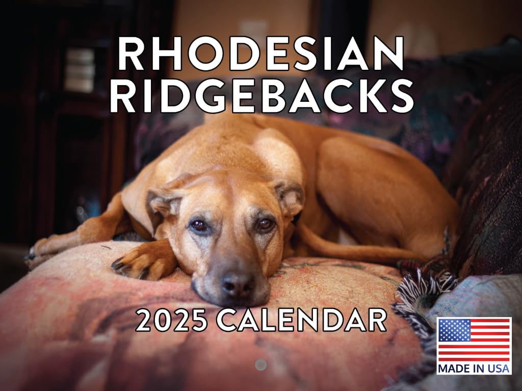Rhodesian Ridgeback Dog 2025 Wall Calendar | American Made In The Usa