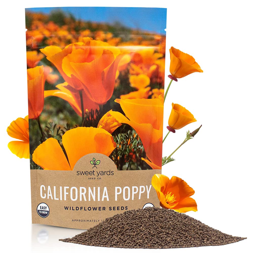 California Orange Poppy Wildflower Seeds - Bulk 14 Pound Bag - Over 80,000 Native Seeds - California State Flower