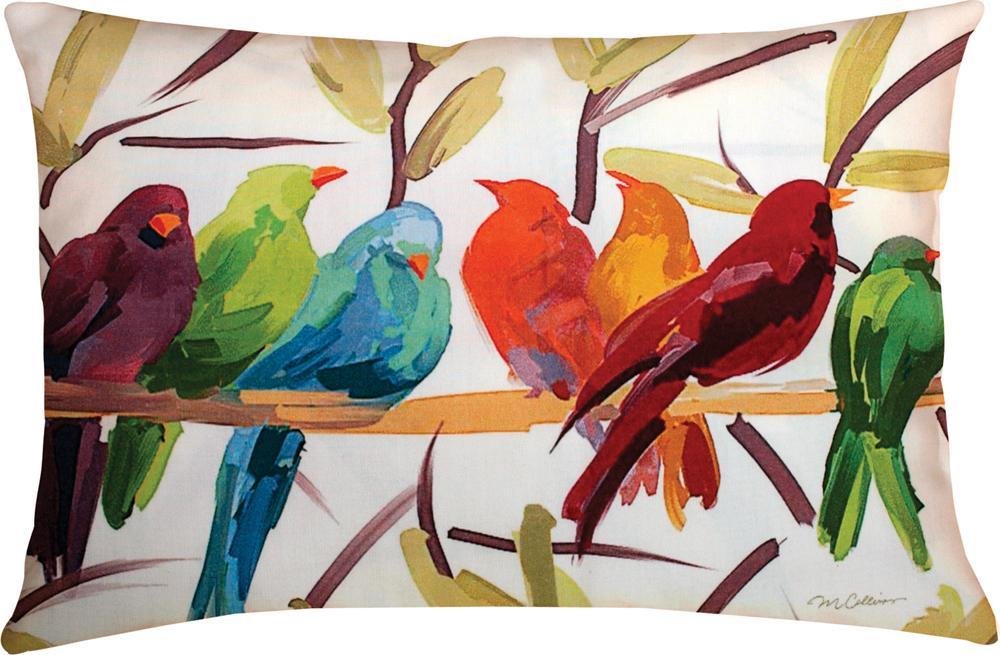 Manual Climaweave Indoor/Outdoor Decorative Throw Pillow, 24 X 18-Inch, Flocked Together