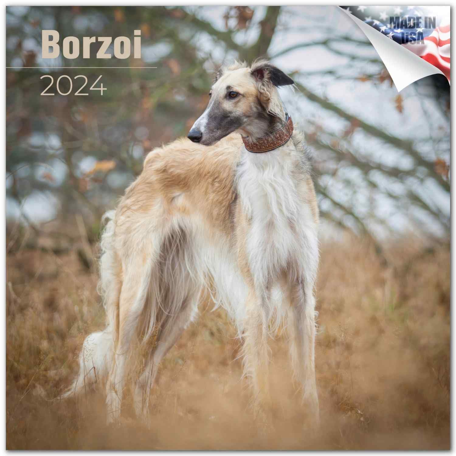 2023 2024 Borzoi Calendar - Dog Breed Monthly Wall Calendar - 12 X 24 Open - Thick No-Bleed Paper - Giftable - Academic Teacher'