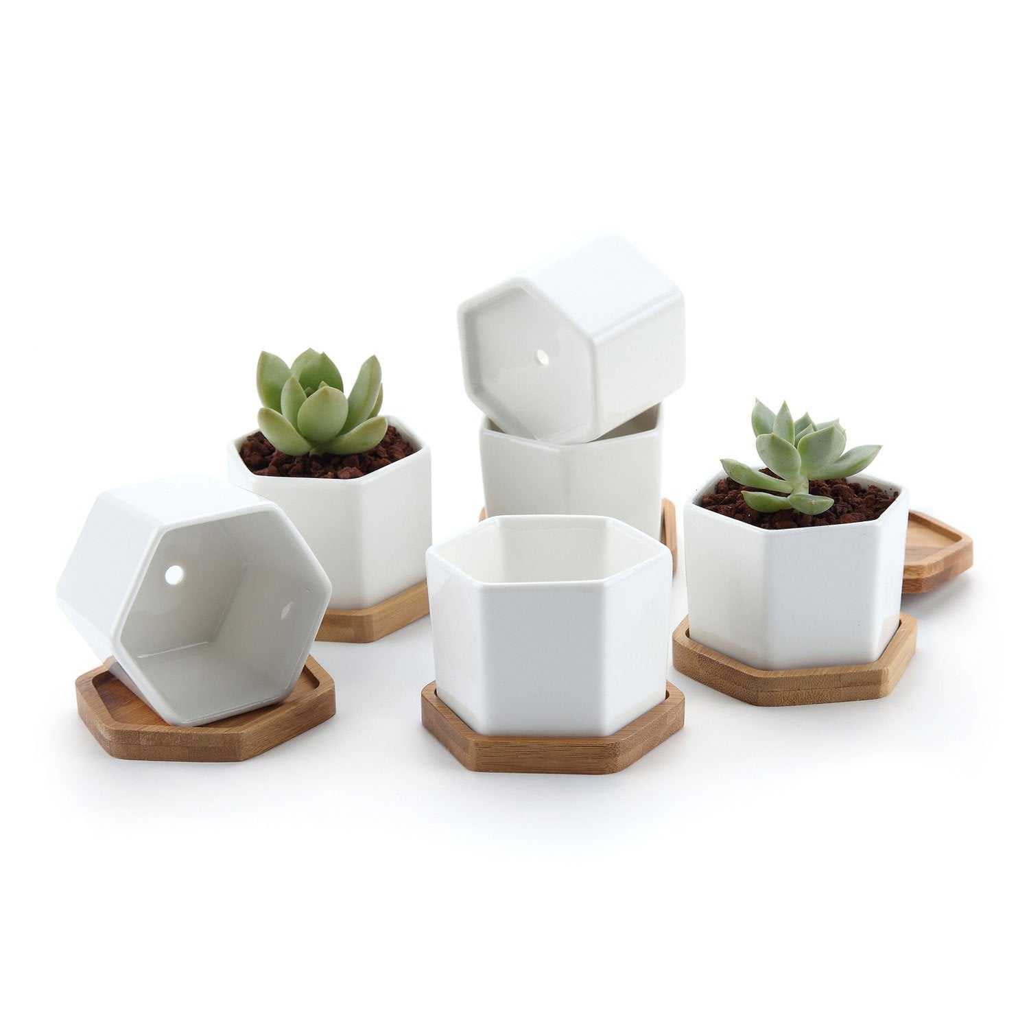 T4U Small White Succulent Planter Pots With Bamboo Tray Hexagon Set Of 6, Geometric Cactus Plant Holder Container For Home Offic