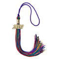 Endea Graduation Single Color Tassel with Gold Date Drop (Rainbow, 2023)