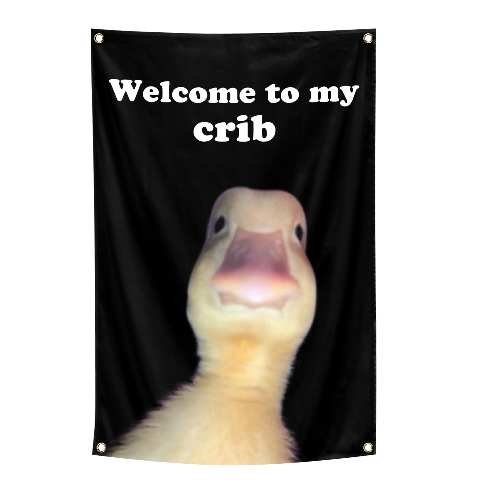 ILINJAU Welcome To My Crib Flag Funny Tapestry 2x3Ft Indoor Outdoor Wall Art Tapestry for Bedroom Teens Room Decoration Living R