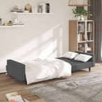 vidaXL Dark Gray Velvet 2-Seater Sofa Bed - Convertible Loveseat/Twin Sleeper with Wood Frame for Living Room, Studio, Home Office