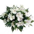 Lopkey Artificial Impatiens Bouquet Flower Patio Lawn Garden Wedding Photo Decor(2Pcs)
