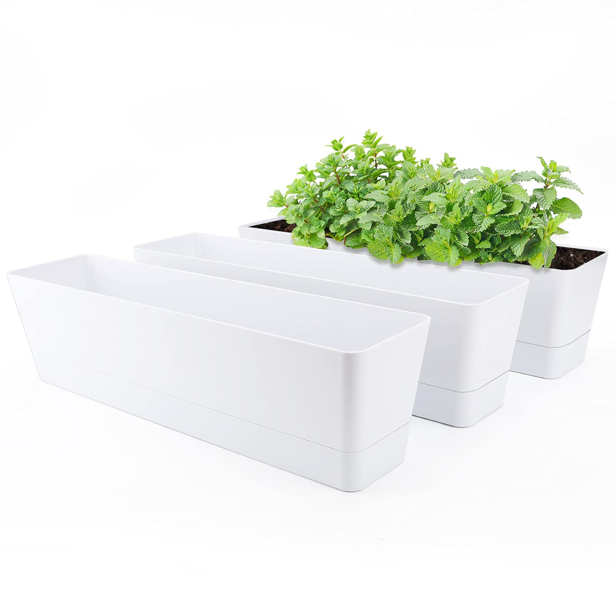 Window Boxes Planters, Greaner 3Pcs 16X3.8 Inch Large Herb Planters With Tray, Indoor Succulent Cactus Flowers Vegetable Plastic